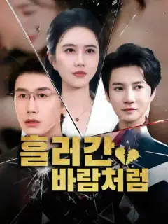 흘러간 바람처럼
